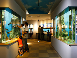 島根の川と湖の生きものの水族館